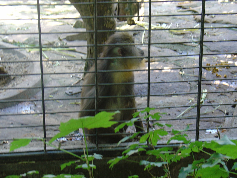 DSC05205