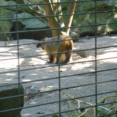 DSC05208