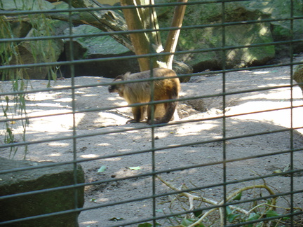 DSC05208