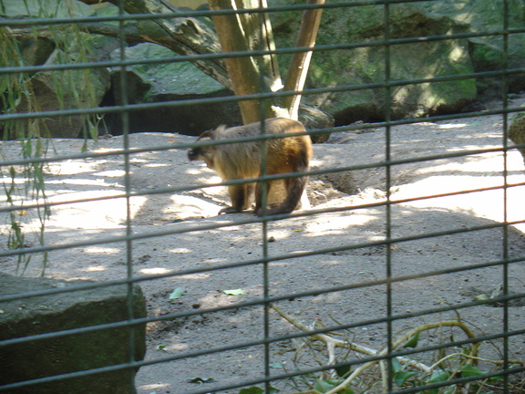 DSC05208