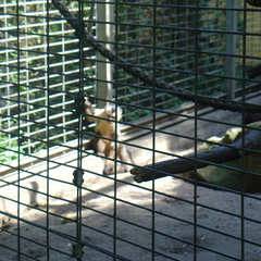 DSC05209