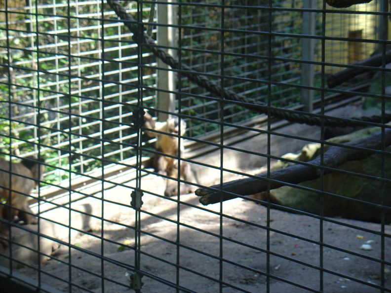 DSC05209