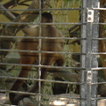 DSC05211