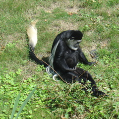 DSC05216