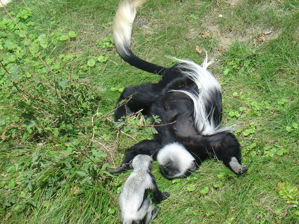 DSC05218