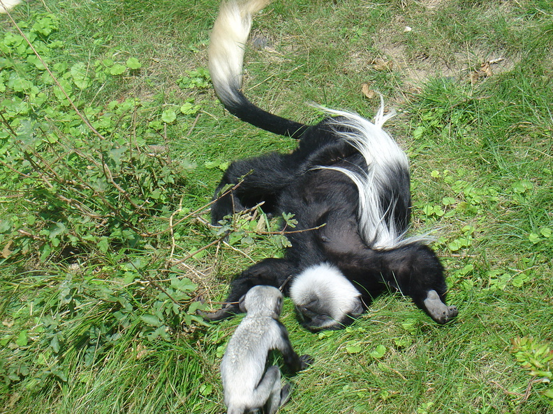 DSC05218