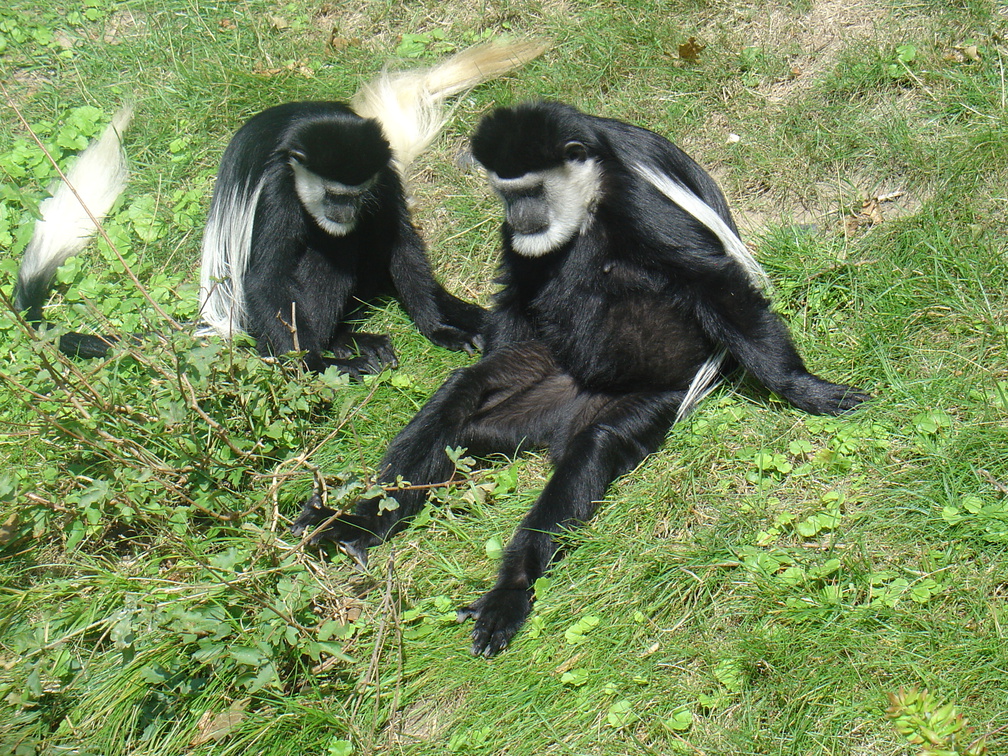 DSC05220