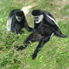 DSC05220