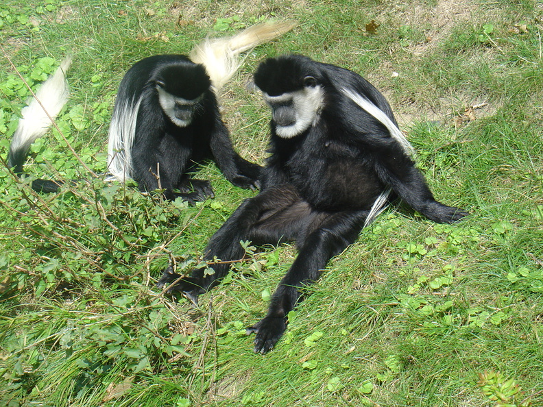 DSC05220