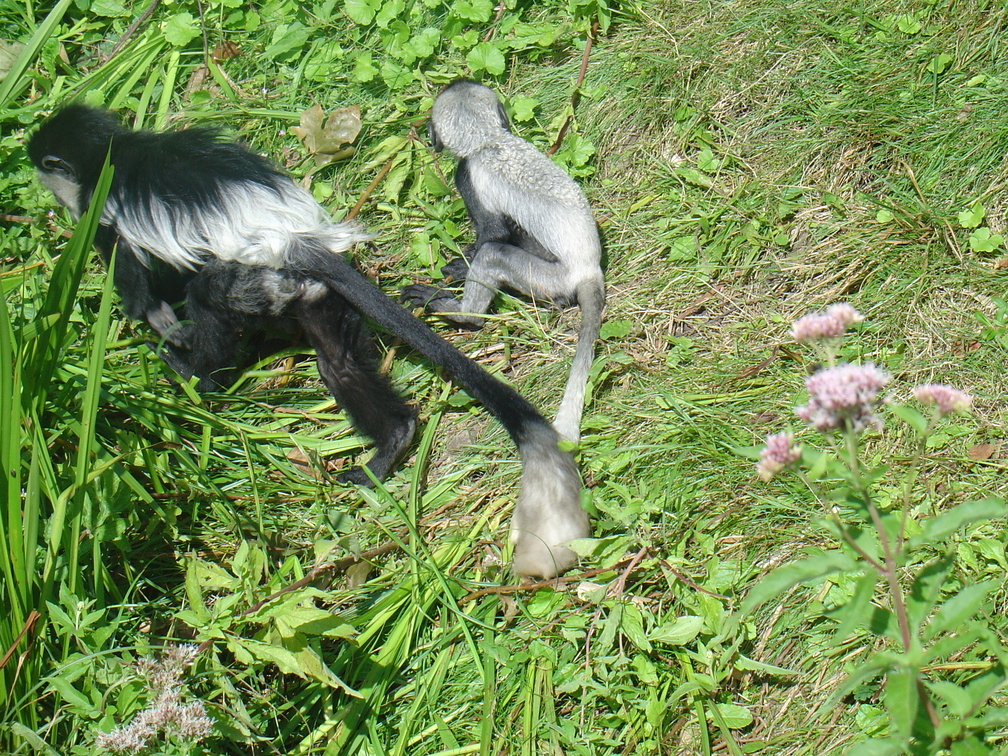 DSC05221