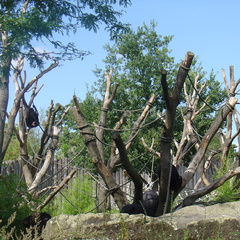 DSC05223
