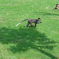 DSC05226