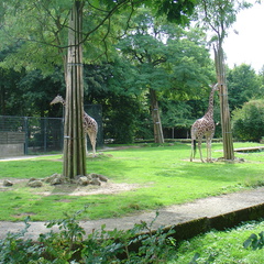 DSC05232