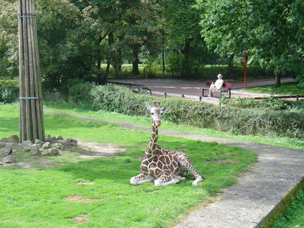 DSC05234