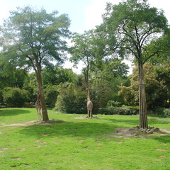 DSC05235