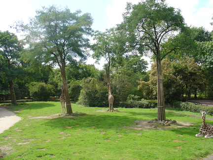 DSC05235