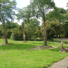 DSC05236