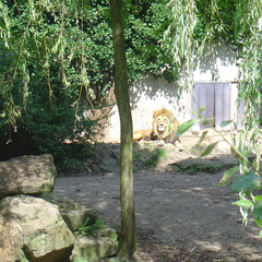 DSC05244