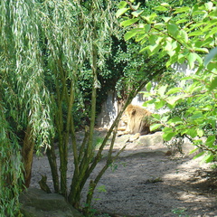 DSC05245