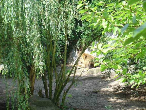 DSC05245