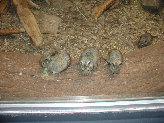 DSC05246