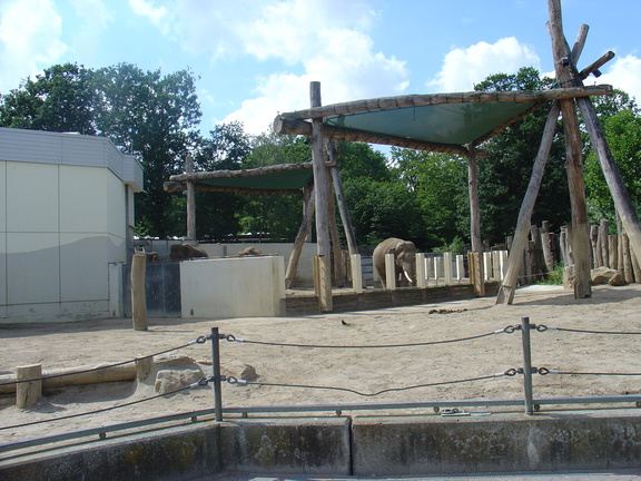 DSC05251