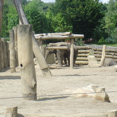 DSC05254
