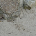 DSC05262