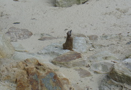DSC05265