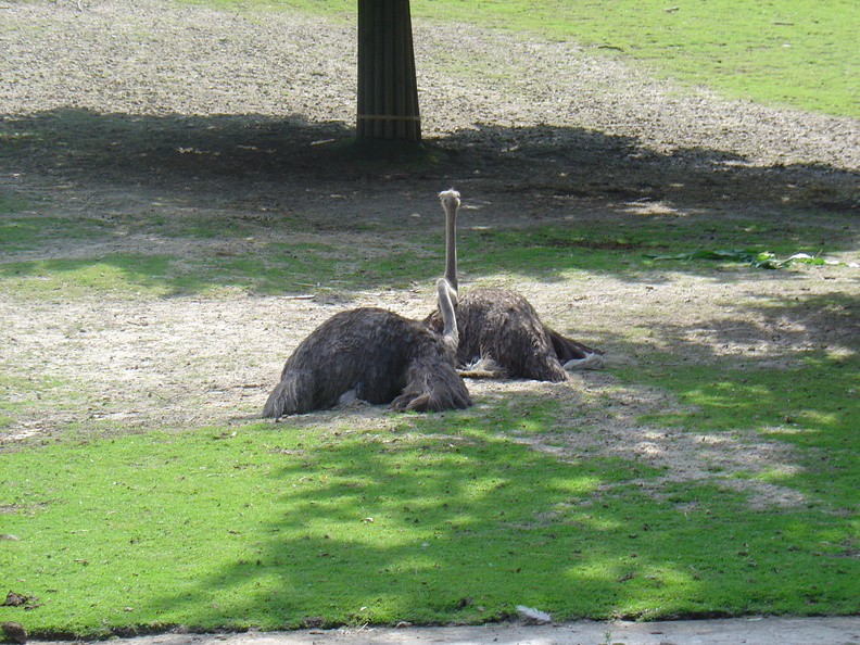 DSC05274.JPG