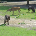 DSC05276