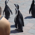 DSC05286