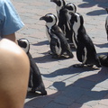 DSC05288