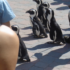 DSC05288