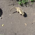 DSC05291