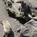 DSC05293