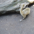 DSC05296
