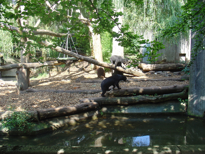 DSC05297.JPG