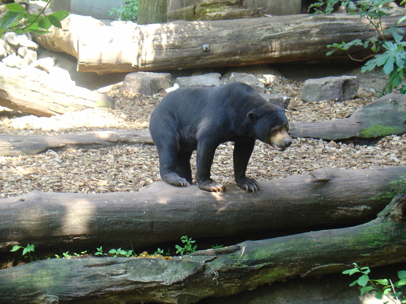 DSC05300.JPG
