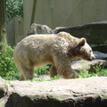 DSC05301