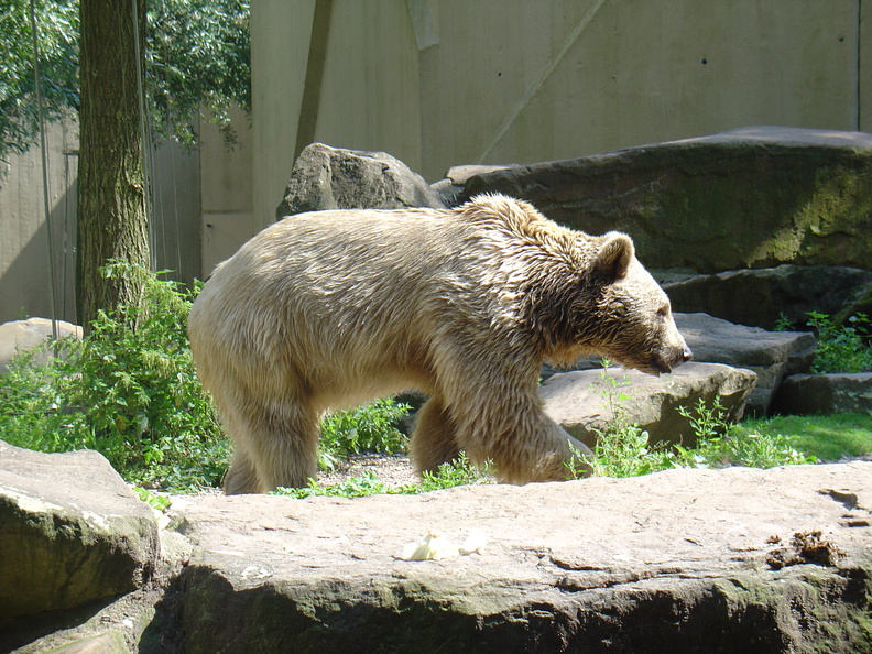 DSC05301.JPG