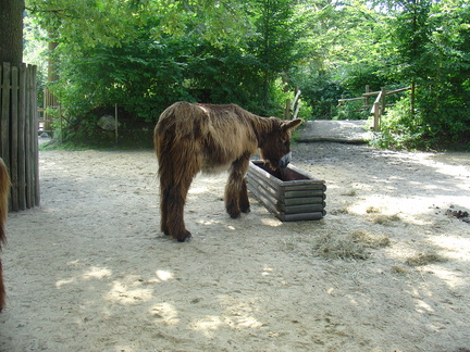 DSC05305