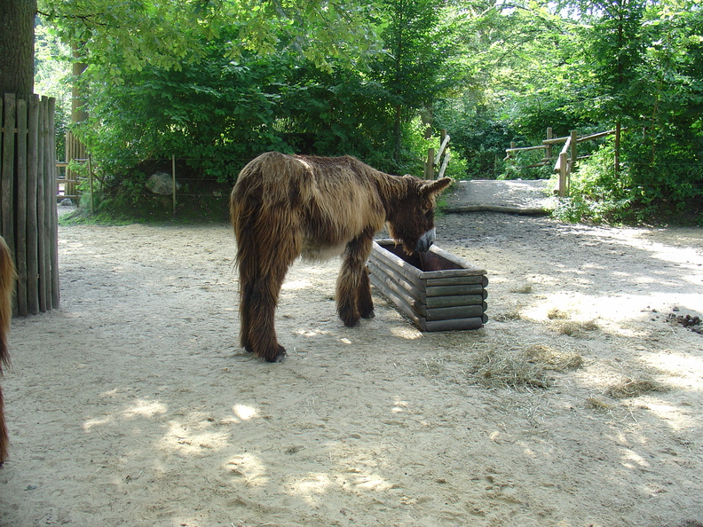 DSC05305