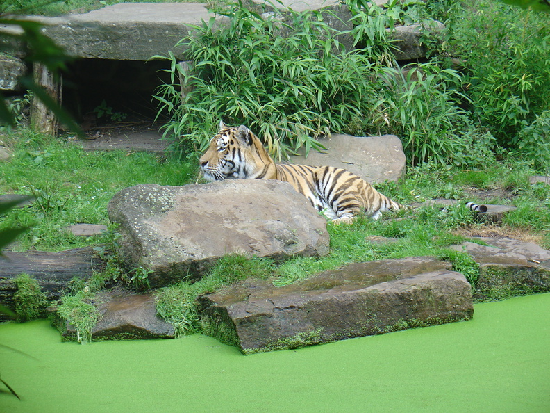 DSC05307.JPG