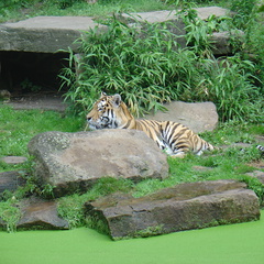 DSC05308