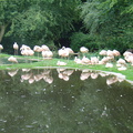DSC05311