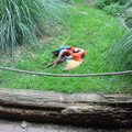DSC05312