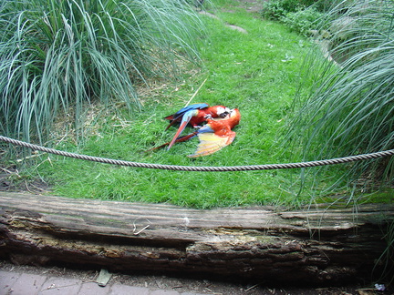 DSC05312