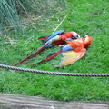DSC05313