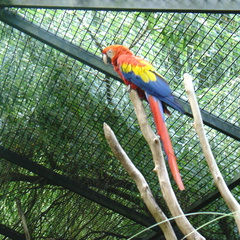 DSC05314